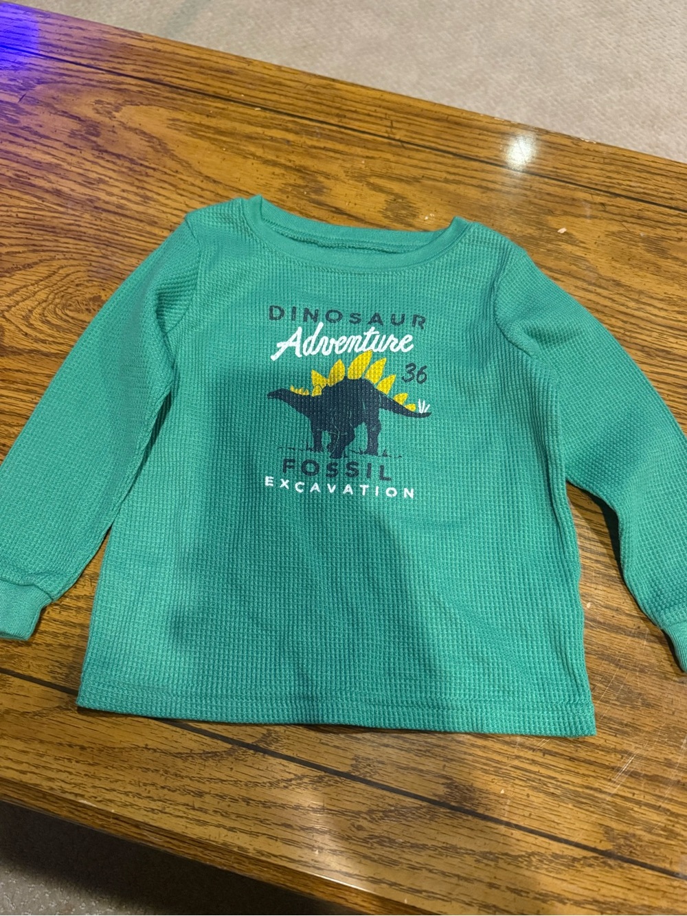 6 for $10 Kids' Green Dinosaur Adventure Long-Sleeve Top